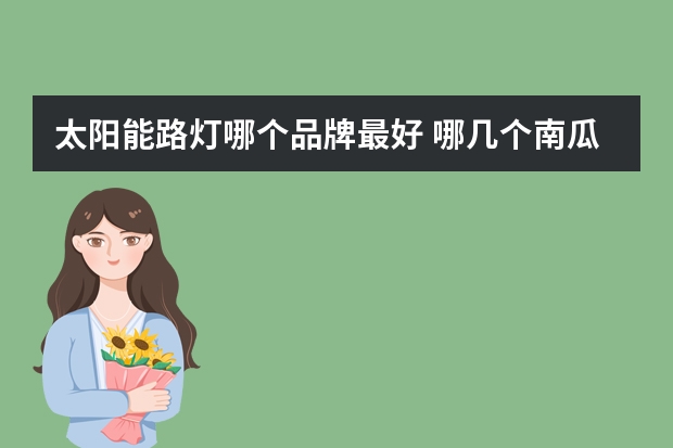 太阳能路灯哪个品牌最好 哪几个南瓜灯品牌好