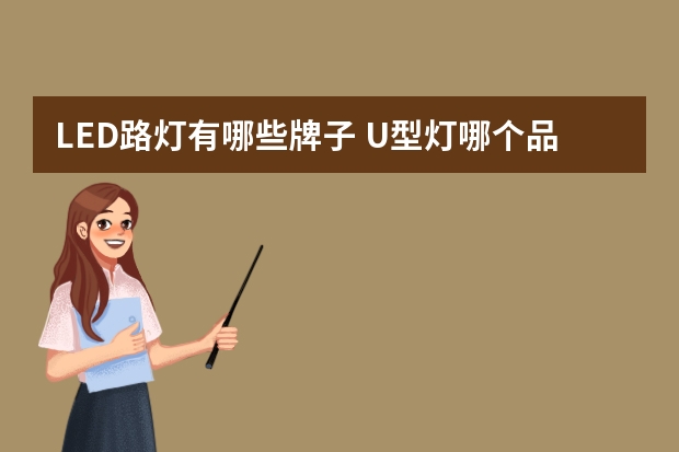 LED路灯有哪些牌子 U型灯哪个品牌好