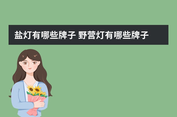 盐灯有哪些牌子 野营灯有哪些牌子