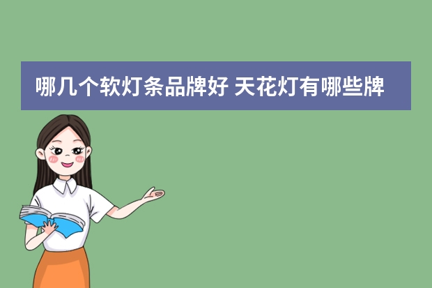 哪几个软灯条品牌好 天花灯有哪些牌子