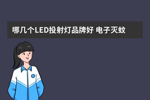 哪几个LED投射灯品牌好 电子灭蚊灯哪个品牌好
