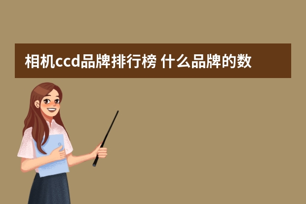 相机ccd品牌排行榜 什么品牌的数码相机最好?