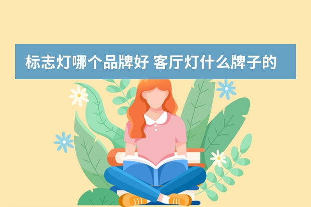 标志灯哪个品牌好 客厅灯什么牌子的口碑好