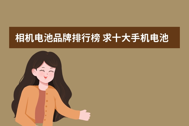 相机电池品牌排行榜 求十大手机电池品牌排行榜，有哪些比较推荐？