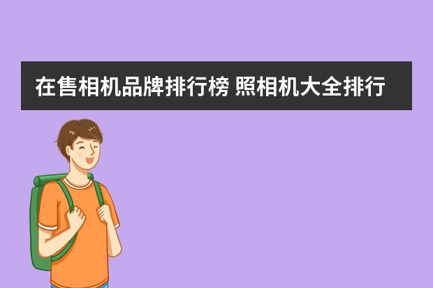 在售相机品牌排行榜 照相机大全排行榜(全画幅微单相机排行)