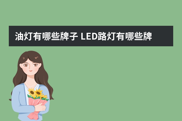 油灯有哪些牌子 LED路灯有哪些牌子