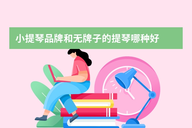 小提琴品牌和无牌子的提琴哪种好