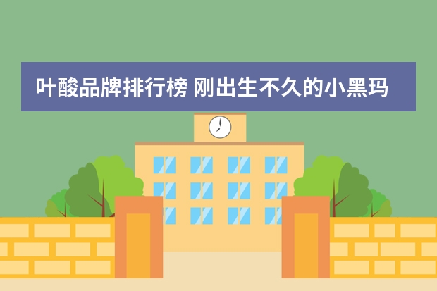 叶酸品牌排行榜 刚出生不久的小黑玛丽能和其它的鱼在一起养吗？