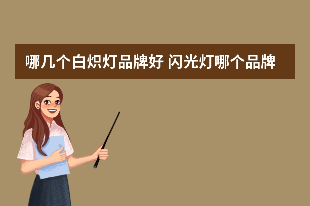 哪几个白炽灯品牌好 闪光灯哪个品牌最好