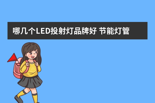 哪几个LED投射灯品牌好 节能灯管哪个品牌好