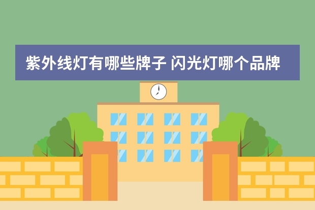 紫外线灯有哪些牌子 闪光灯哪个品牌最好