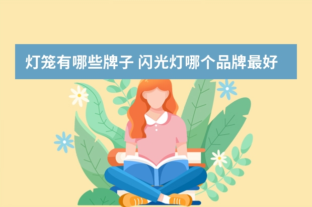 灯笼有哪些牌子 闪光灯哪个品牌最好