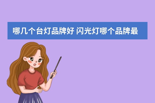 哪几个台灯品牌好 闪光灯哪个品牌最好