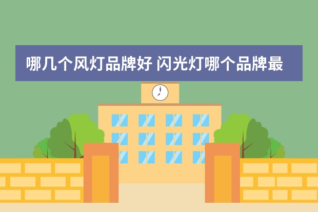 哪几个风灯品牌好 闪光灯哪个品牌最好