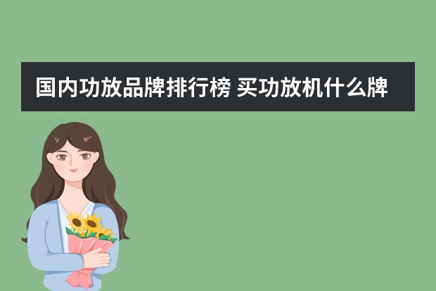国内功放品牌排行榜 买功放机什么牌子好
