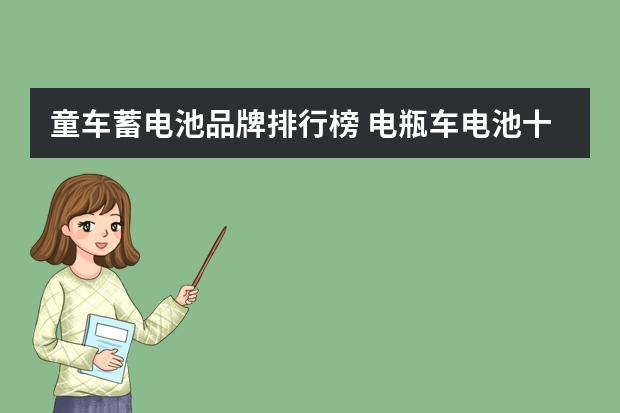 童车蓄电池品牌排行榜 电瓶车电池十大品牌