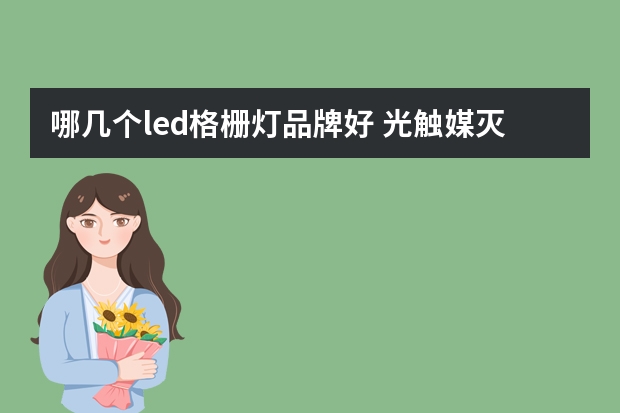 哪几个led格栅灯品牌好 光触媒灭蚊灯有哪些牌子