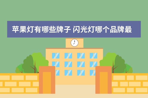 苹果灯有哪些牌子 闪光灯哪个品牌最好