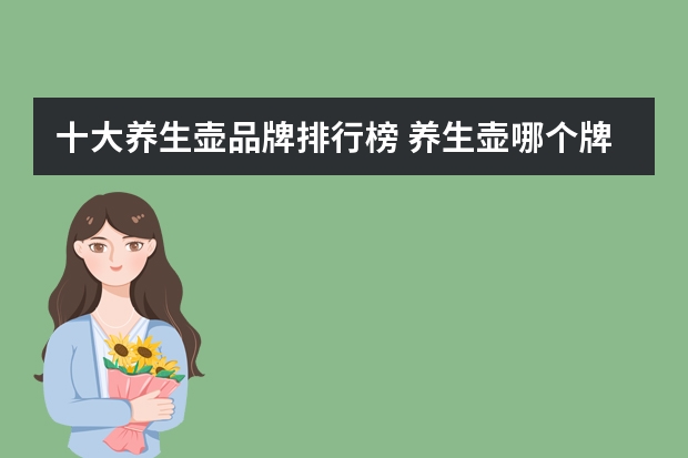 十大养生壶品牌排行榜 养生壶哪个牌子好一点？