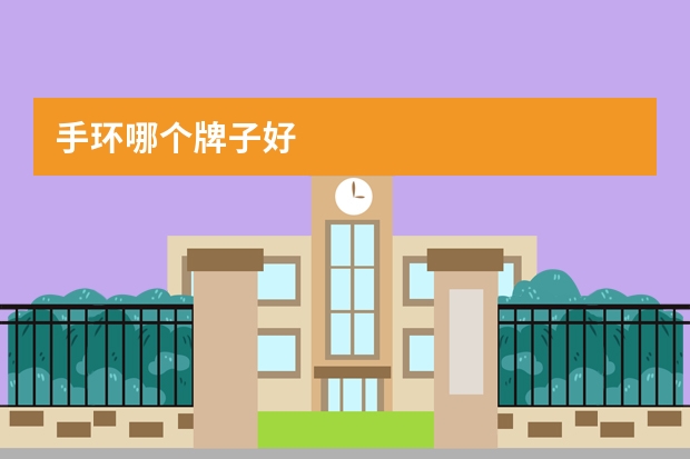 手环哪个牌子好
