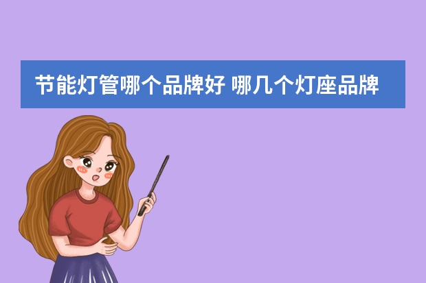 节能灯管哪个品牌好 哪几个灯座品牌好