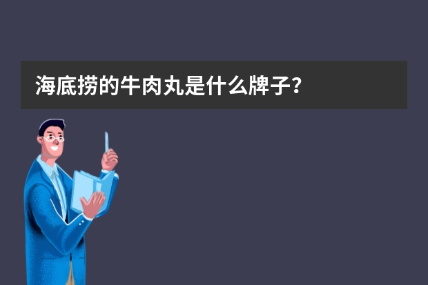 海底捞的牛肉丸是什么牌子？