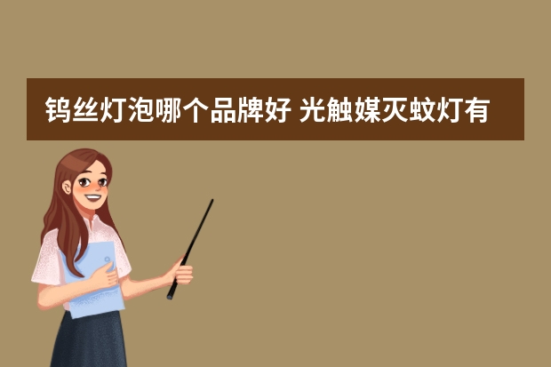 钨丝灯泡哪个品牌好 光触媒灭蚊灯有哪些牌子
