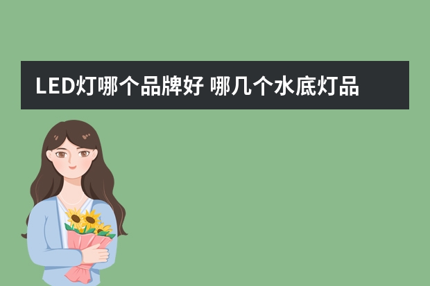 LED灯哪个品牌好 哪几个水底灯品牌好