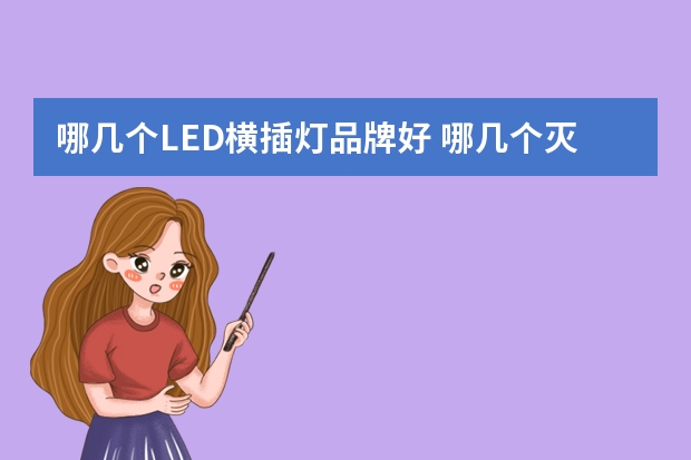 哪几个LED横插灯品牌好 哪几个灭蝇灯品牌好
