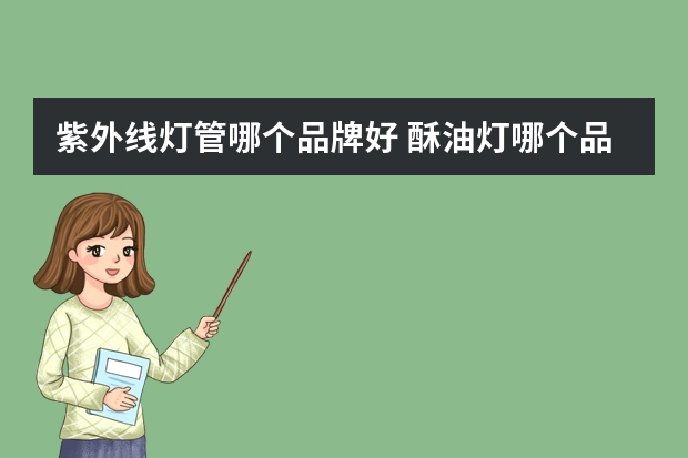 紫外线灯管哪个品牌好 酥油灯哪个品牌好