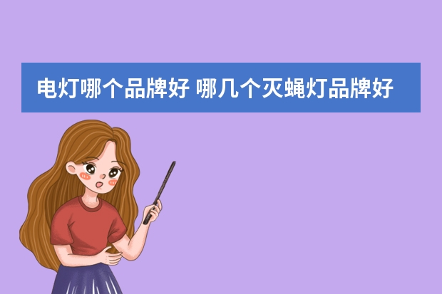电灯哪个品牌好 哪几个灭蝇灯品牌好