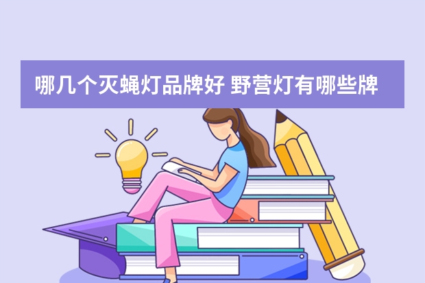 哪几个灭蝇灯品牌好 野营灯有哪些牌子