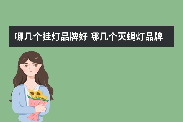哪几个挂灯品牌好 哪几个灭蝇灯品牌好