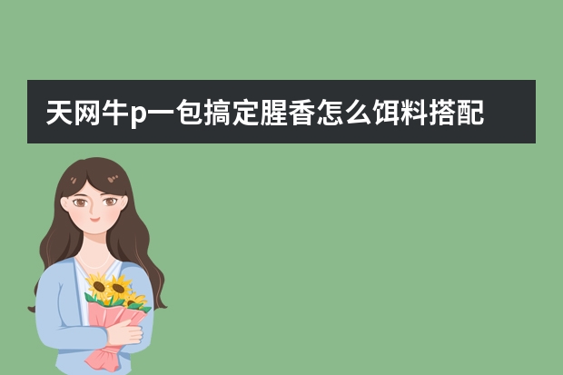 天网牛p一包搞定腥香怎么饵料搭配
