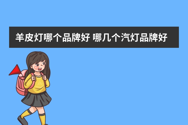 羊皮灯哪个品牌好 哪几个汽灯品牌好