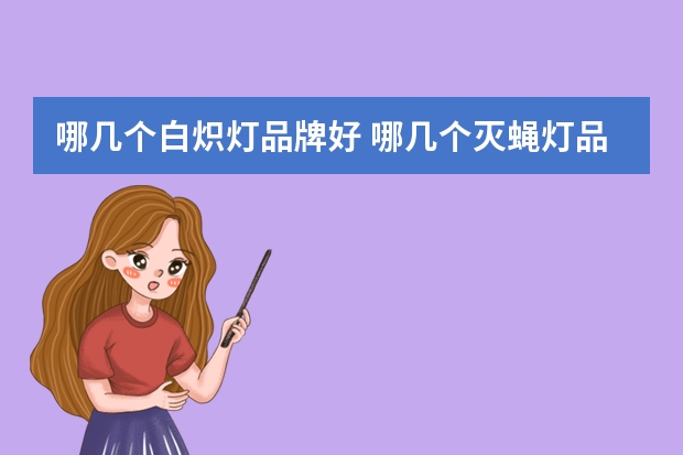 哪几个白炽灯品牌好 哪几个灭蝇灯品牌好