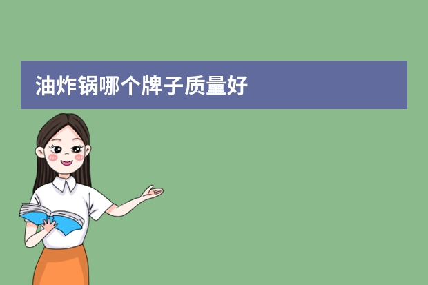 油炸锅哪个牌子质量好