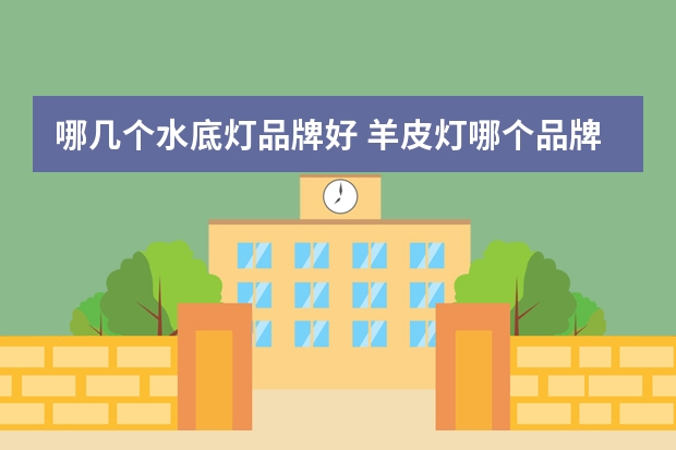 哪几个水底灯品牌好 羊皮灯哪个品牌好