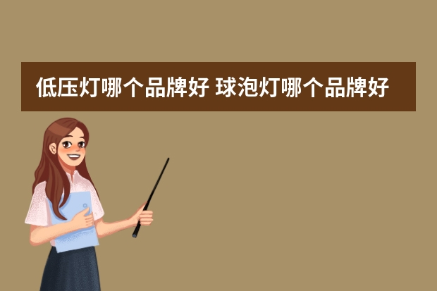 低压灯哪个品牌好 球泡灯哪个品牌好