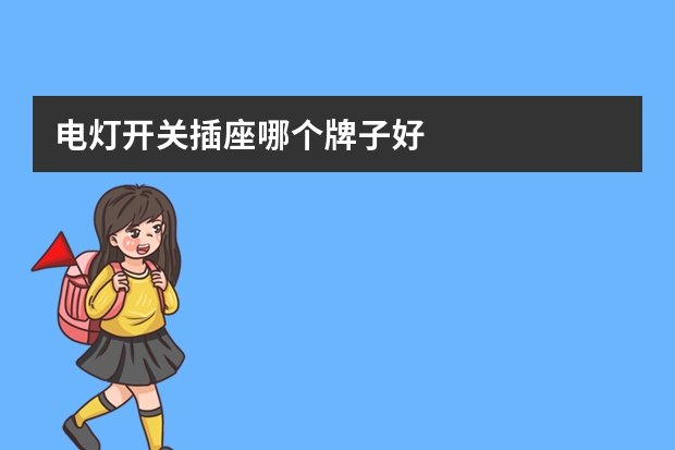 电灯开关插座哪个牌子好