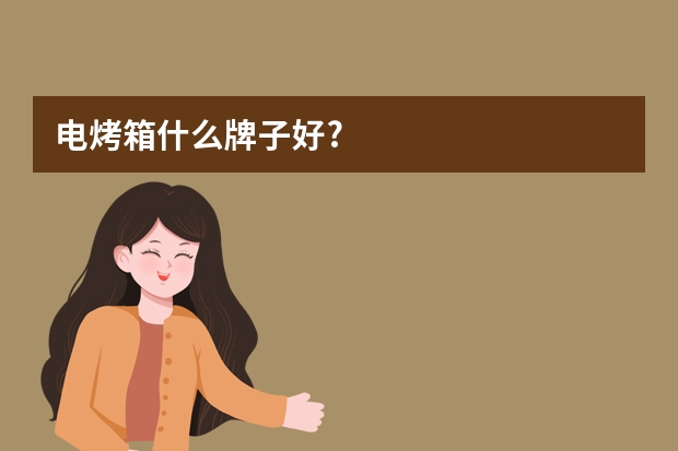 电烤箱什么牌子好?