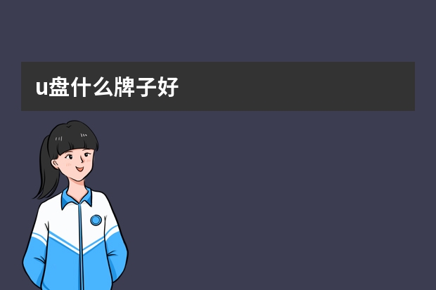 u盘什么牌子好