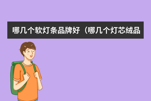 哪几个软灯条品牌好（哪几个灯芯绒品牌好）