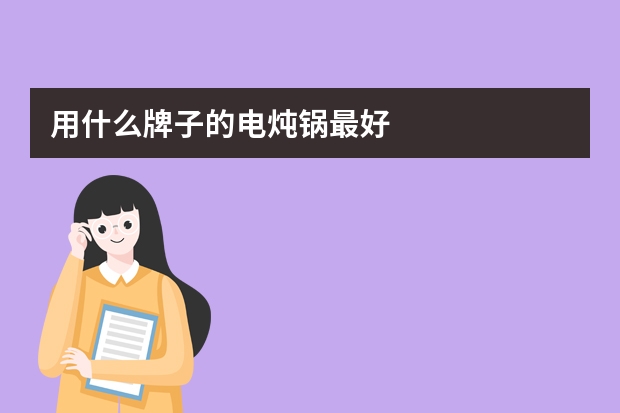 用什么牌子的电炖锅最好