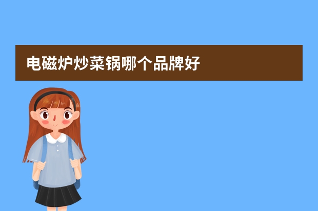 电磁炉炒菜锅哪个品牌好
