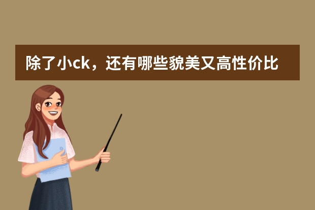 除了小ck，还有哪些貌美又高性价比的国际包包可选择？