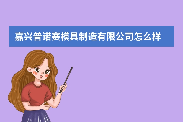 嘉兴普诺赛模具制造有限公司怎么样