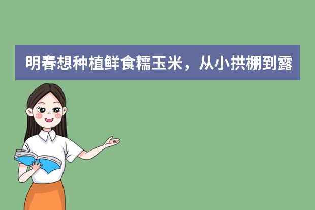 明春想种植鲜食糯玉米，从小拱棚到露天可种植几茬？什么品种好呢？