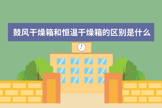 鼓风干燥箱和恒温干燥箱的区别是什么啊？