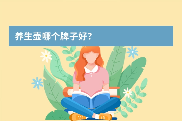 养生壶哪个牌子好？